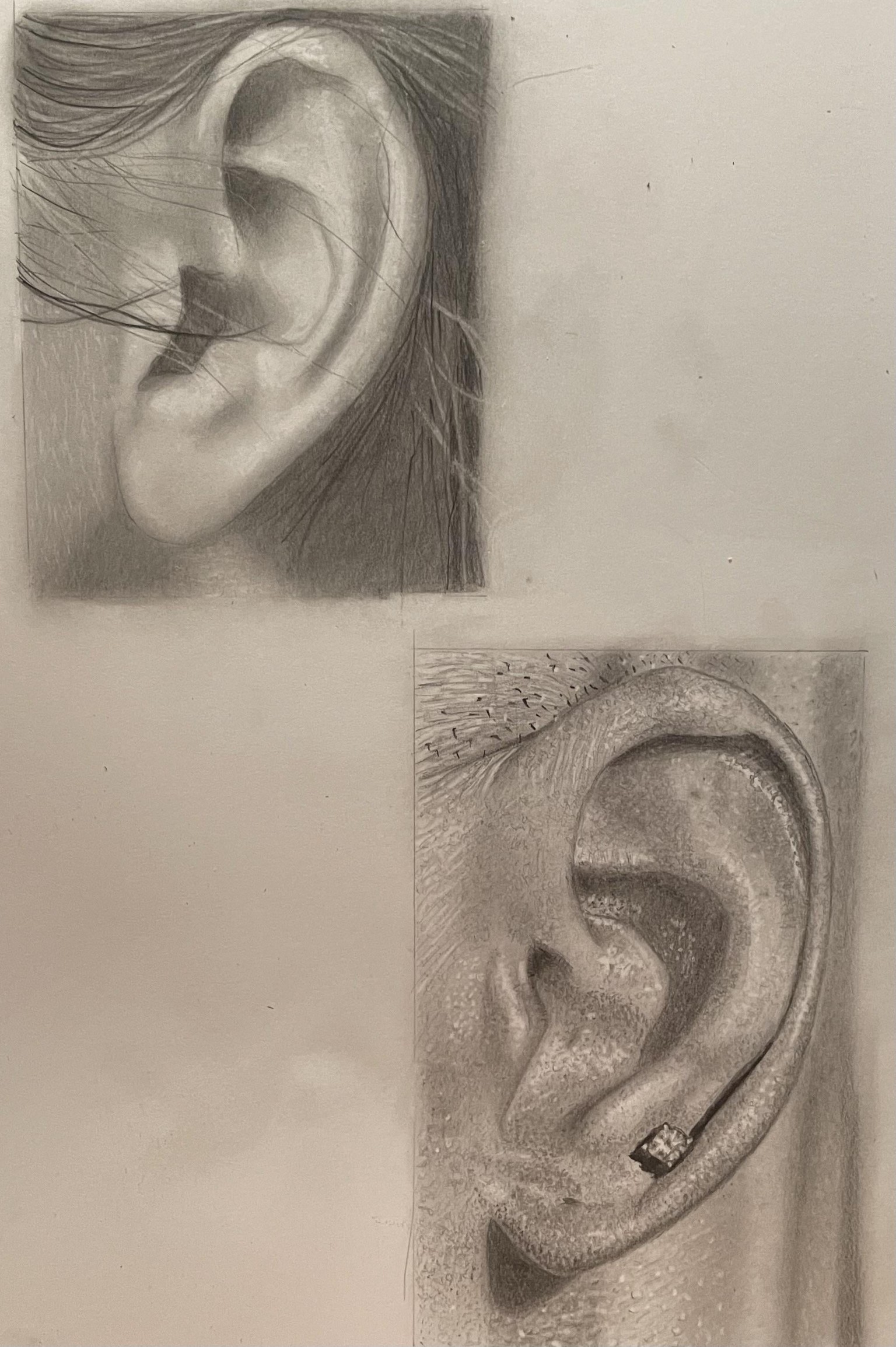 Ears - 2nd ear completed - image 1 - student project