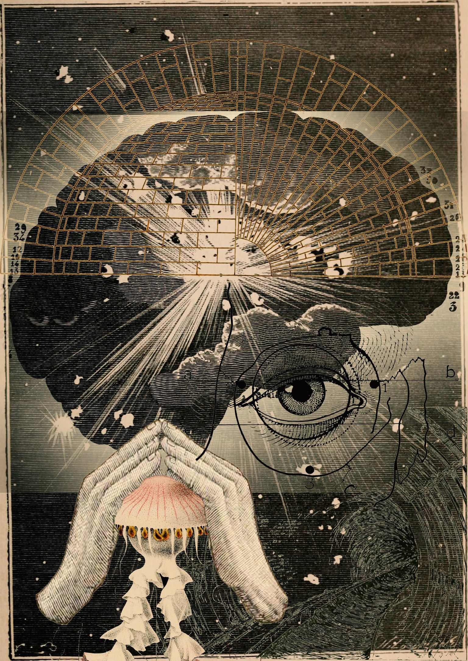 The brain is the mind in space - image 1 - student project