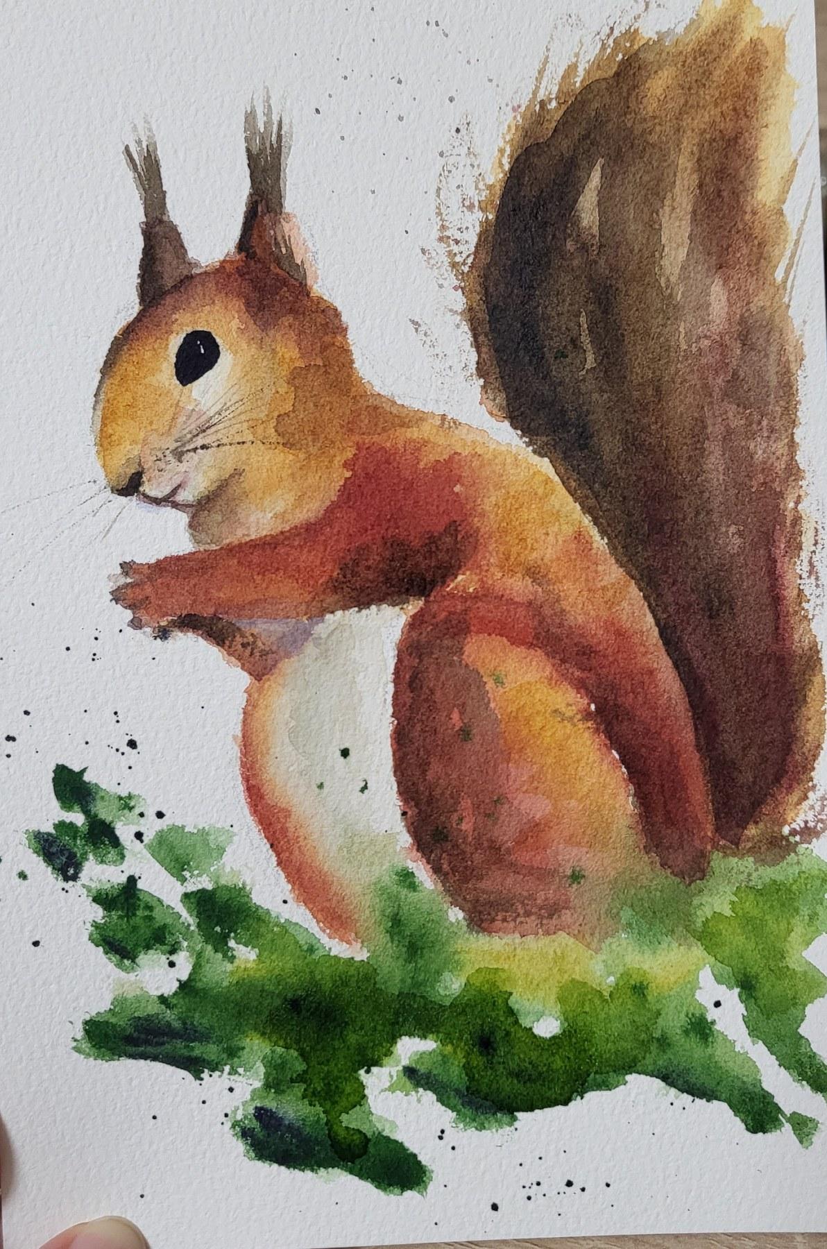 Squirrel - image 1 - student project