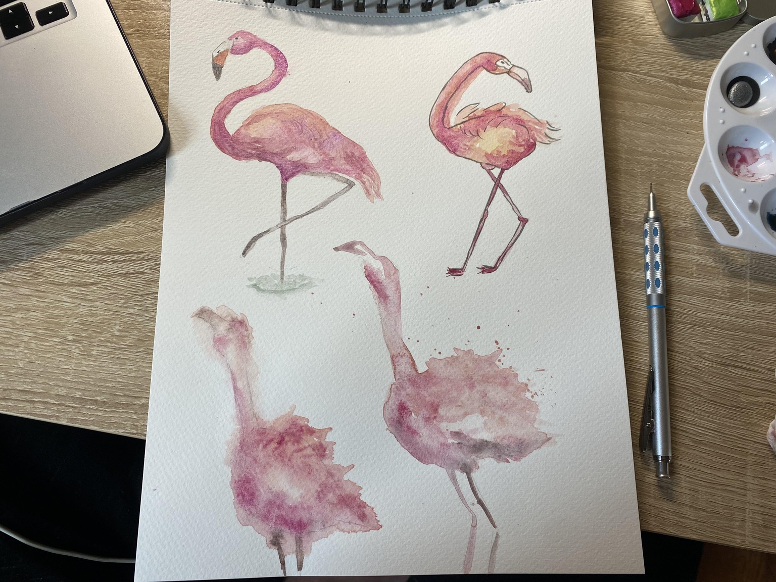 Flamingos! - image 1 - student project