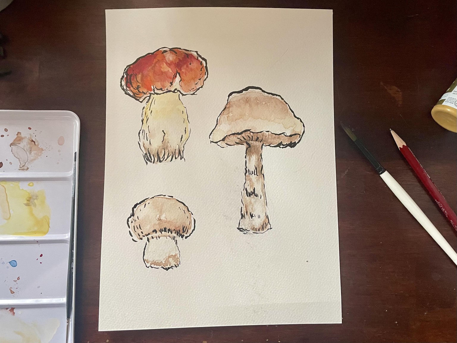 Mushroom Watercolor and Ink - image 1 - student project