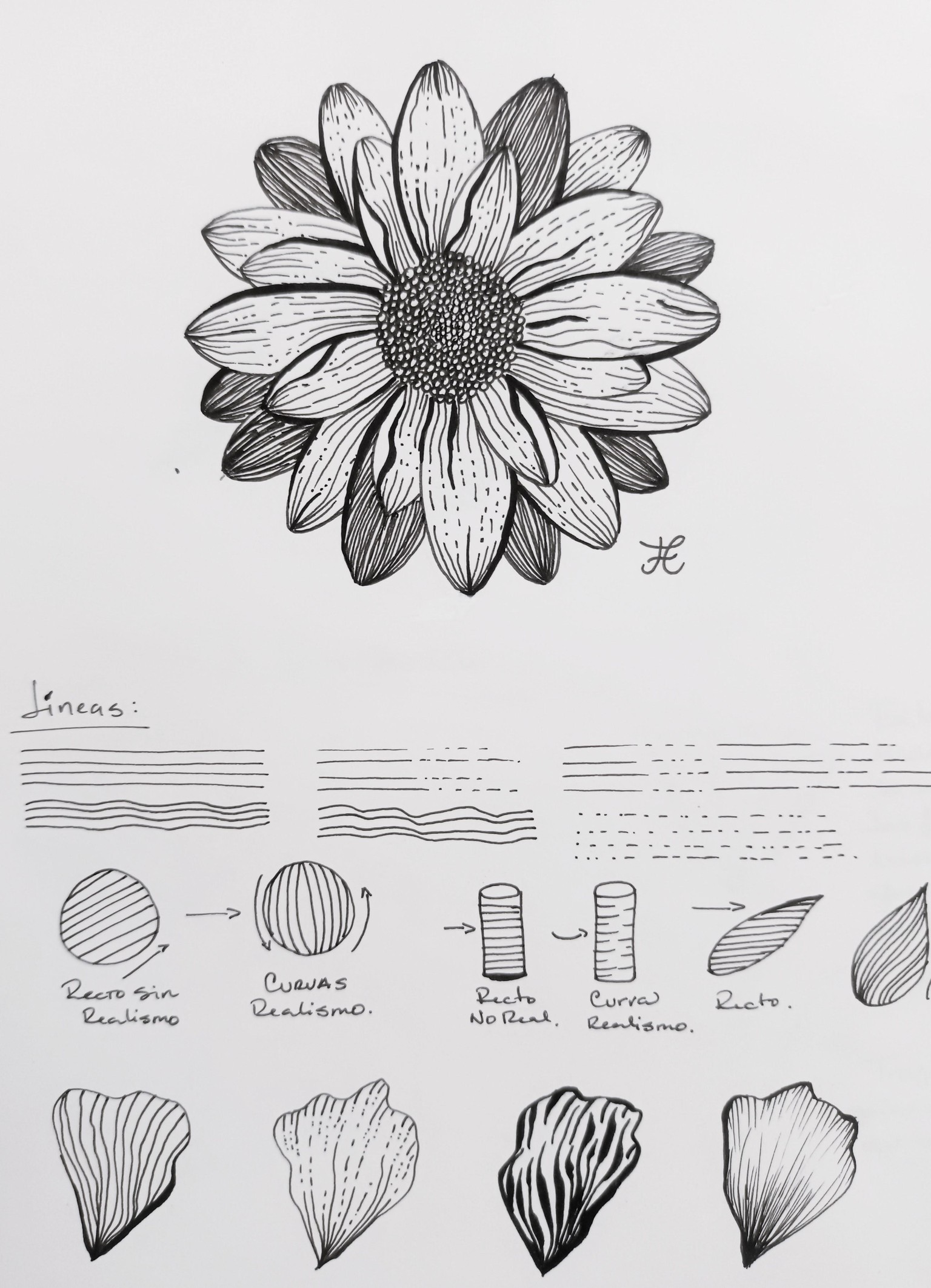 Catching up with this pretty flower - image 1 - student project