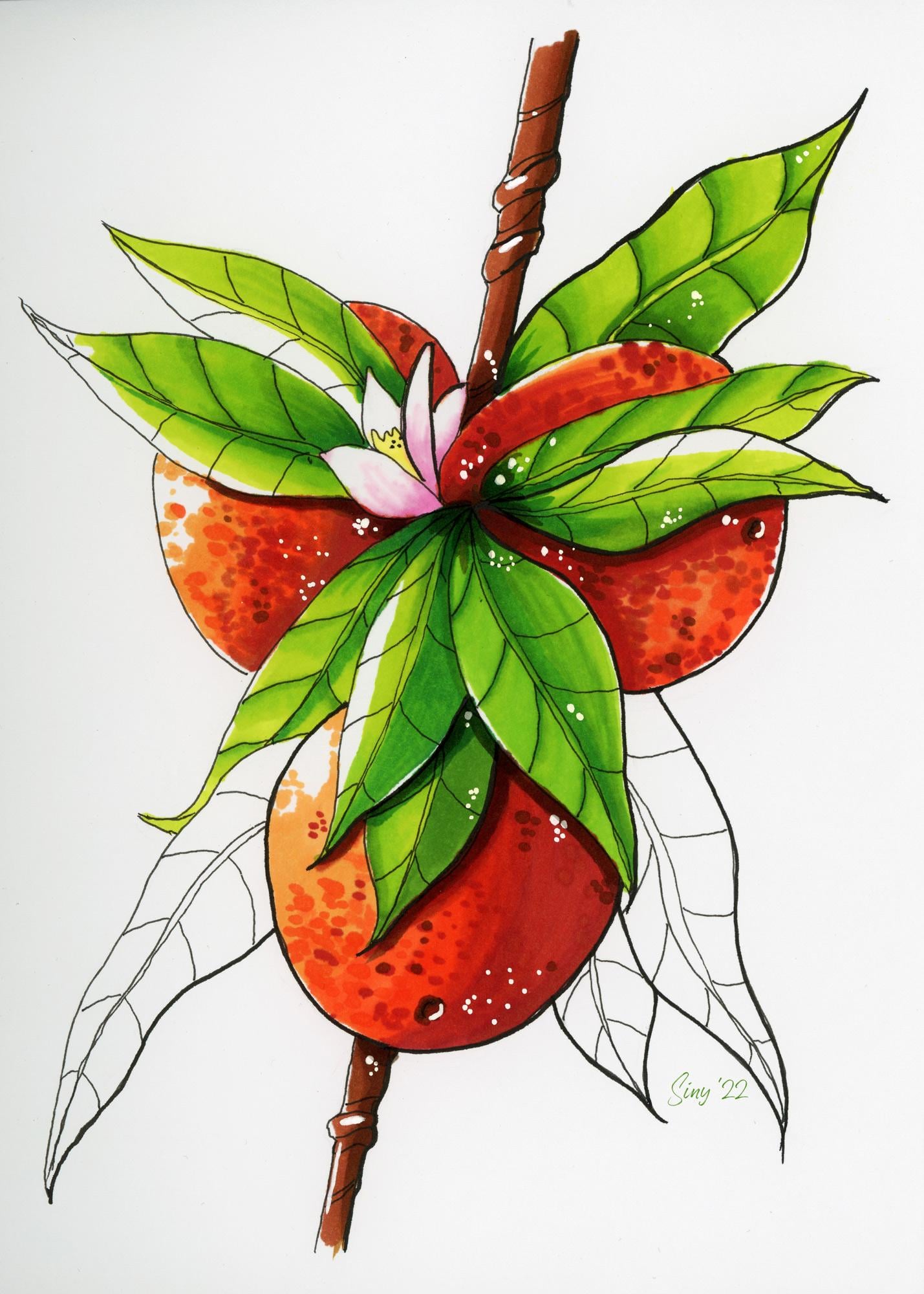 Julia's marker fruit - image 1 - student project
