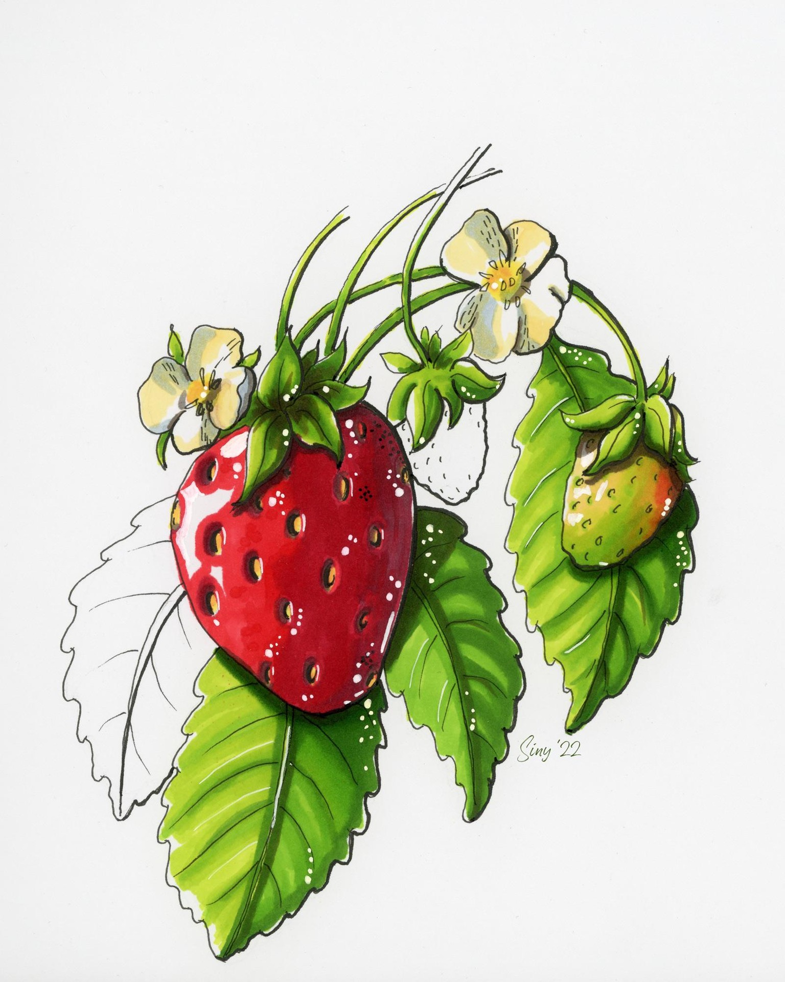 Julia's marker fruit - image 4 - student project