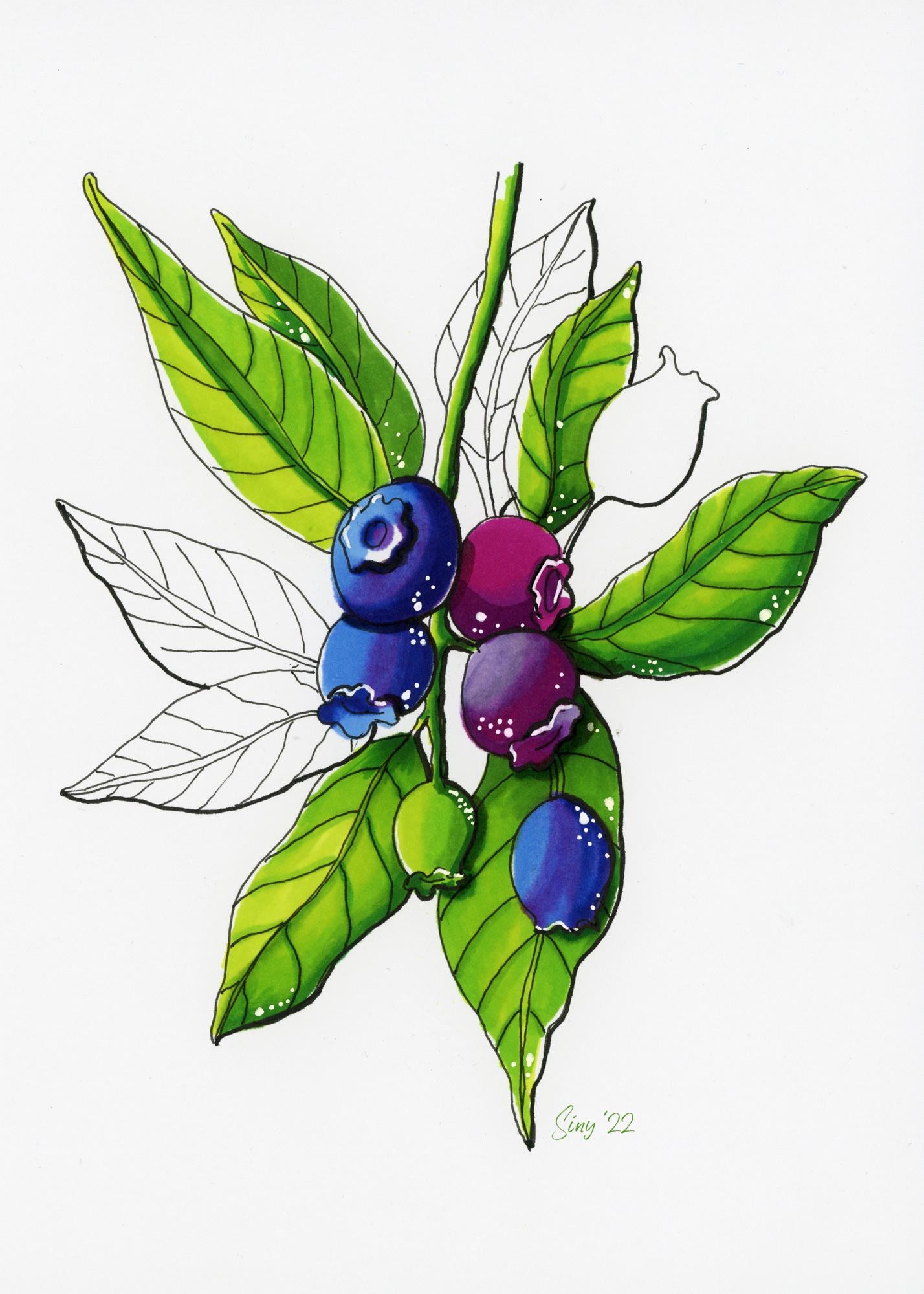 Julia's marker fruit - image 2 - student project
