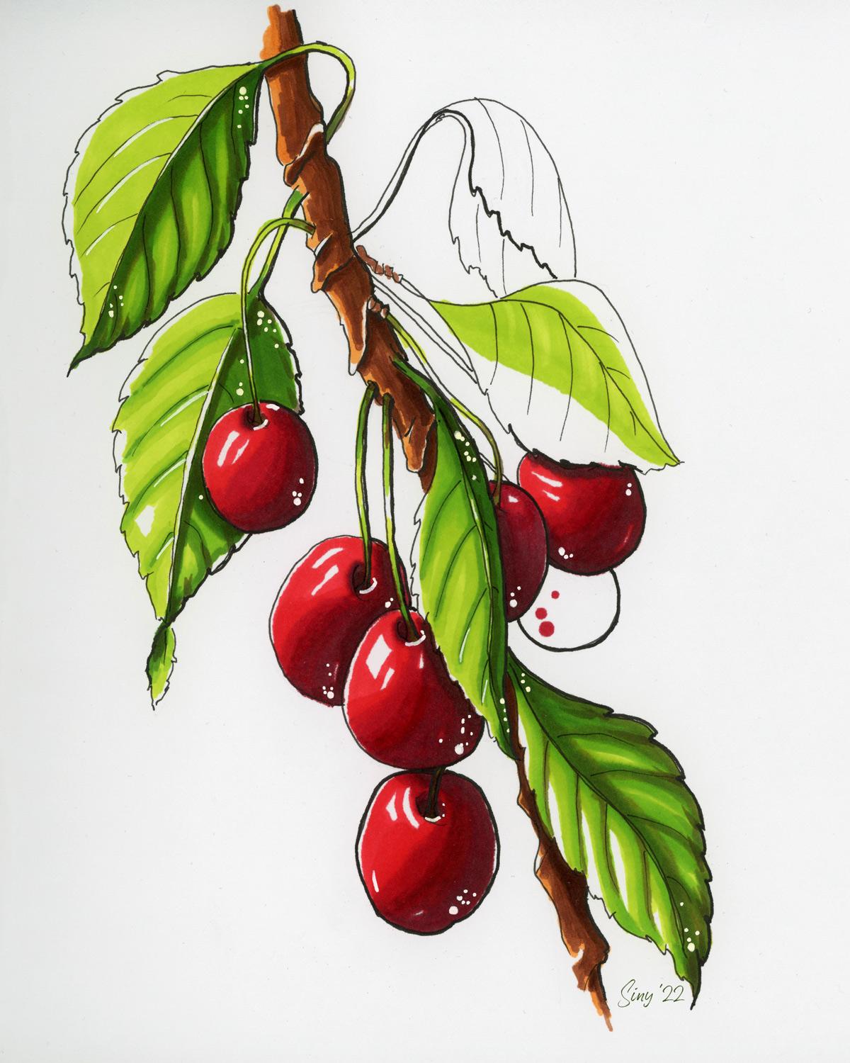 Julia's marker fruit - image 3 - student project