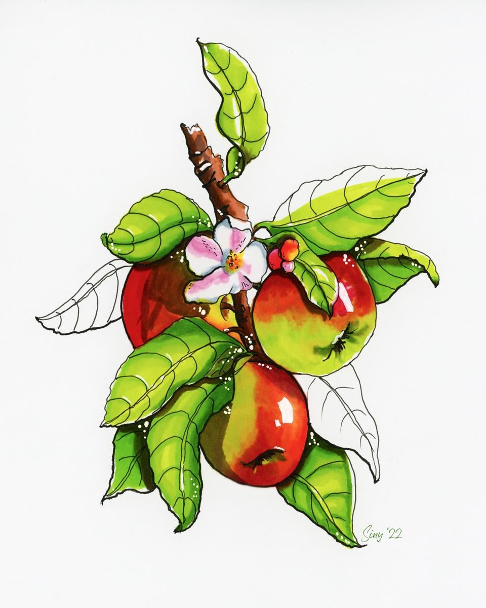 Julia's marker fruit - image 5 - student project