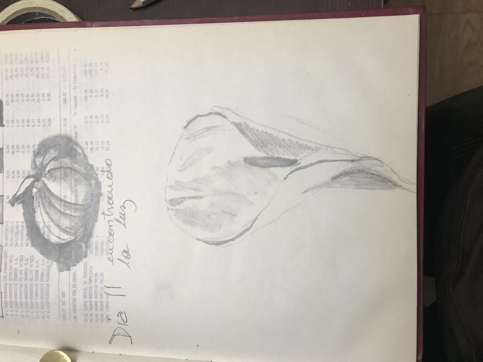 Stepping stones - image 1 - student project