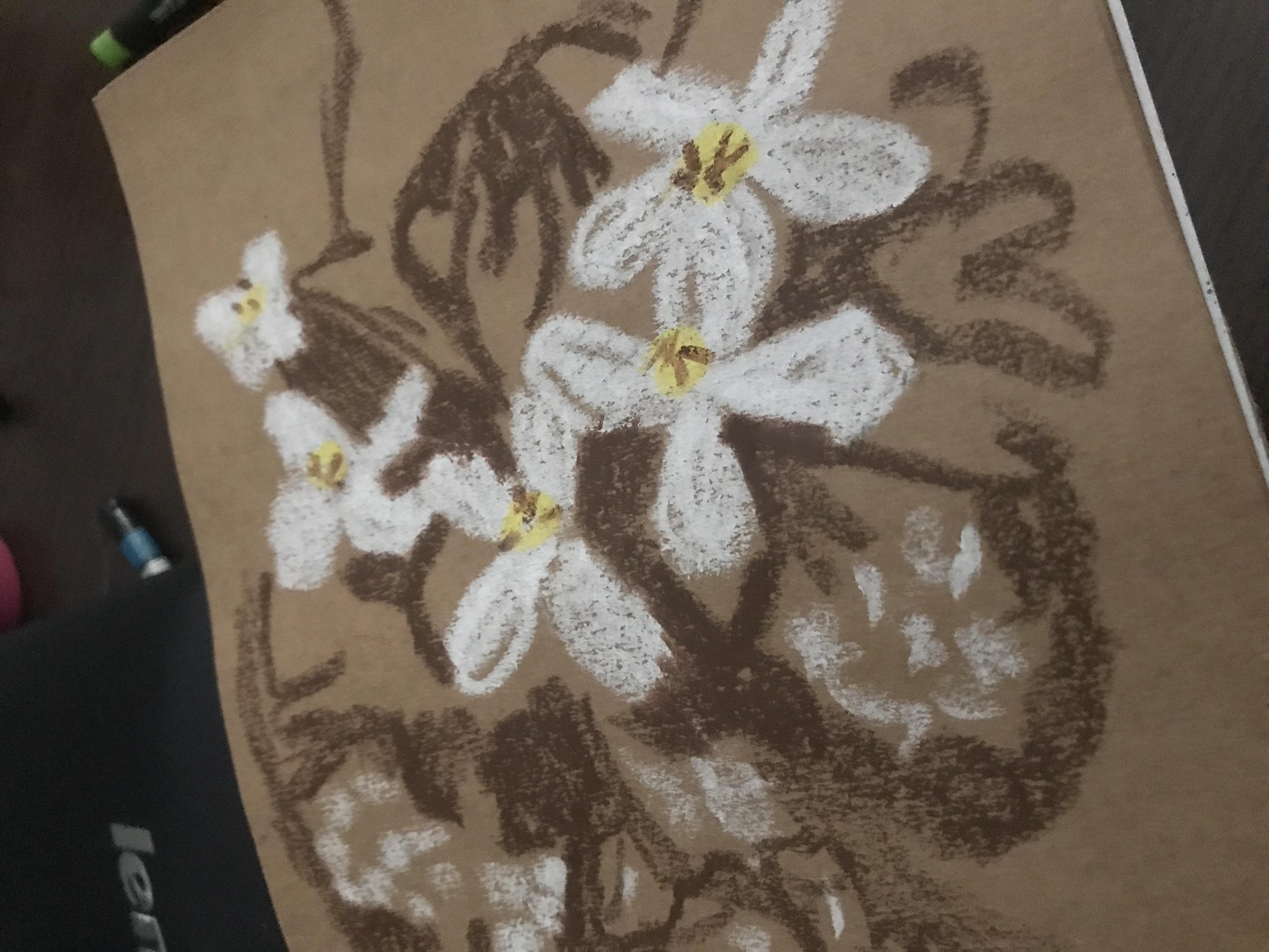 Botánicas Sketchbook. Anne - image 3 - student project