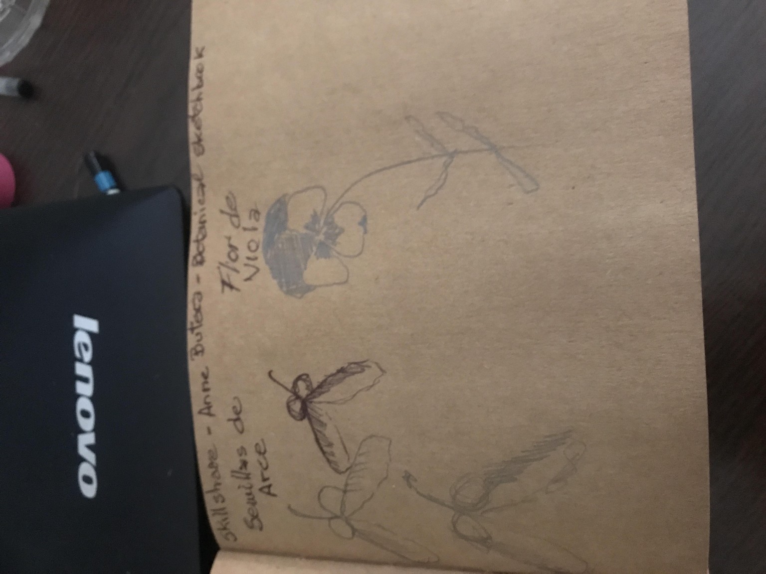 Botánicas Sketchbook. Anne - image 2 - student project