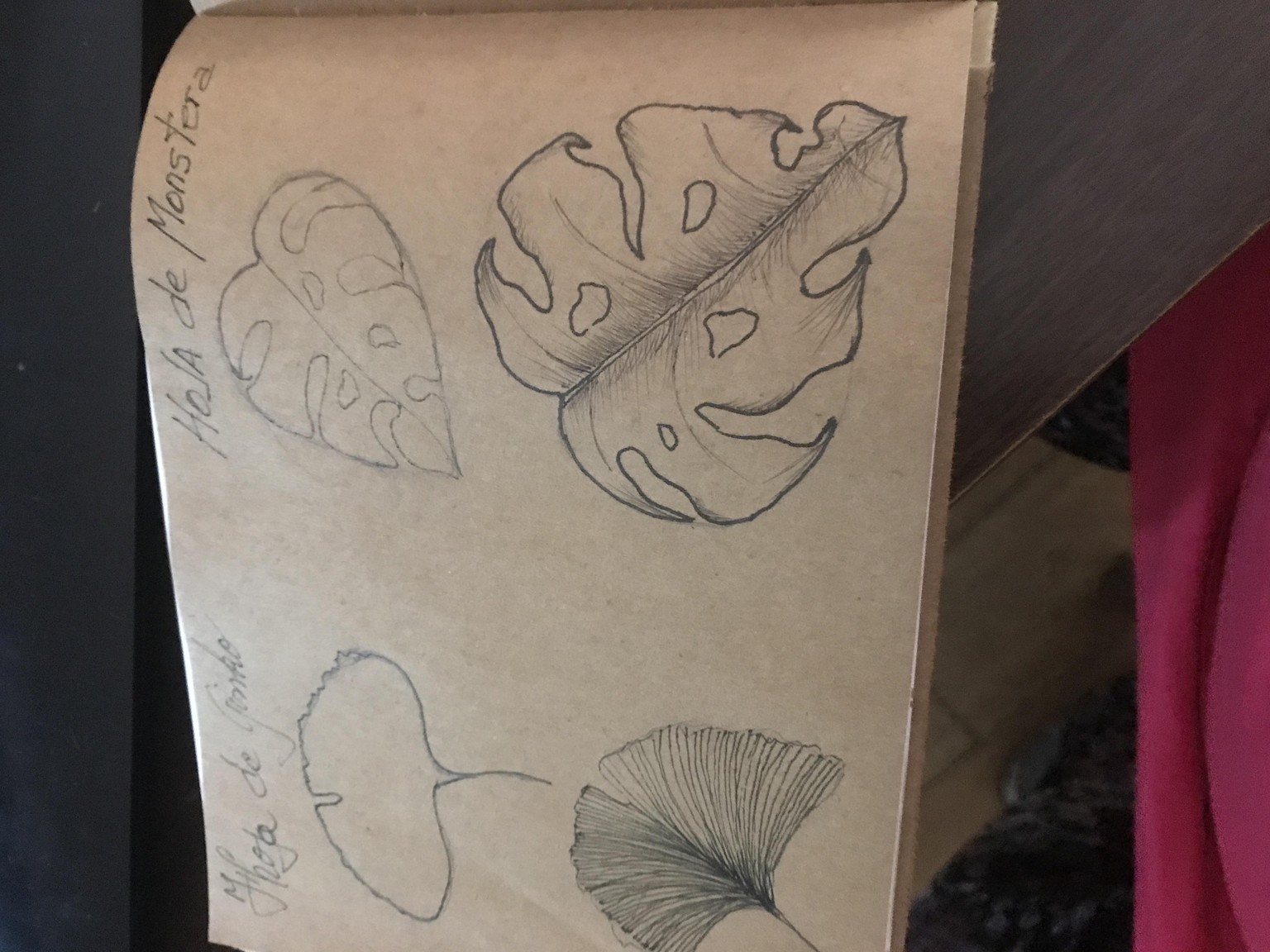 Botánicas Sketchbook. Anne - image 6 - student project