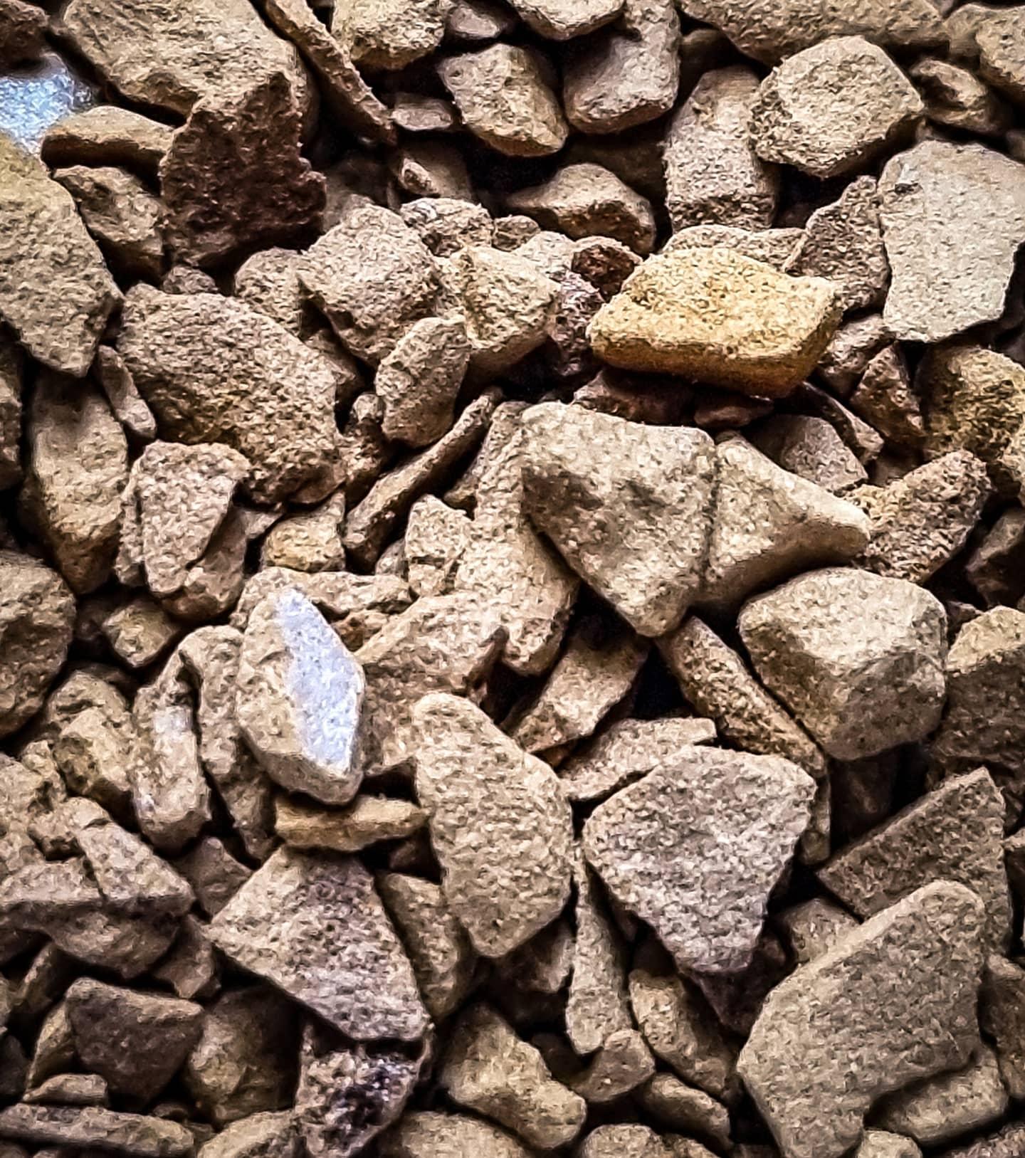 MOBILE Macrophotography - image 2 - student project
