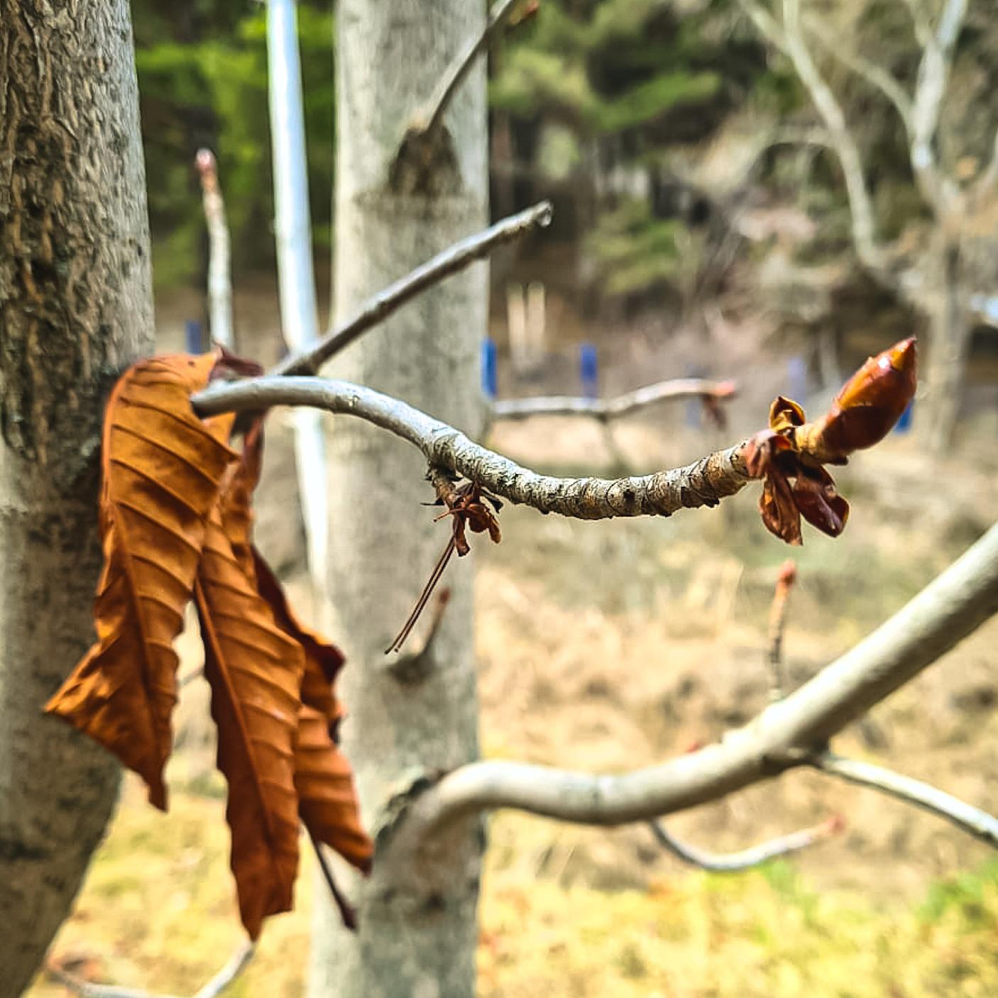 MOBILE Macrophotography - image 3 - student project