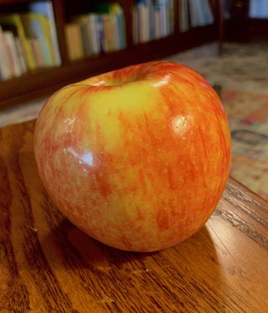Apple - image 2 - student project