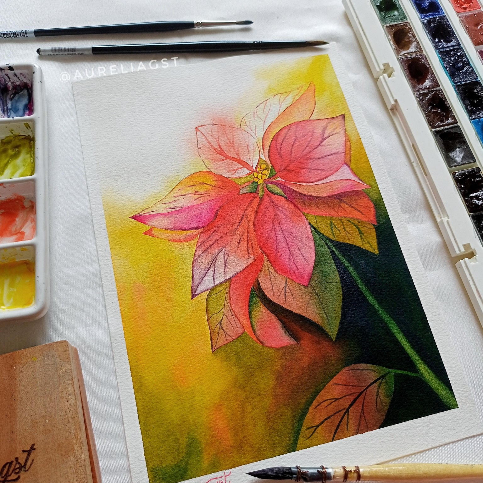 Alluring Poinsettia - image 2 - student project