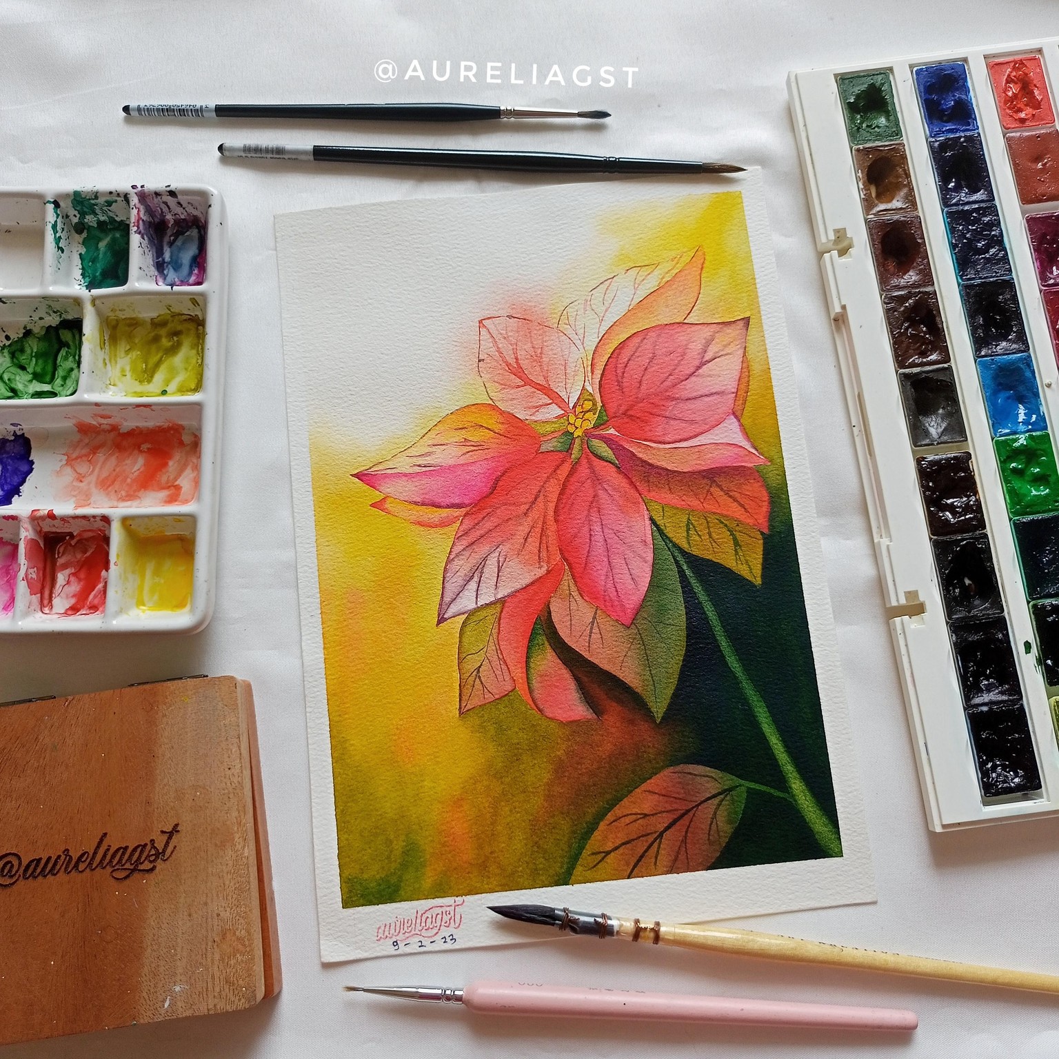 Alluring Poinsettia - image 1 - student project