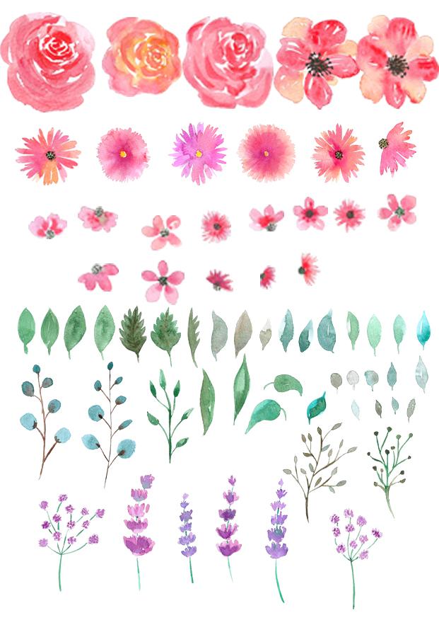 Watercolor Florals for Graphic Design - image 2 - student project