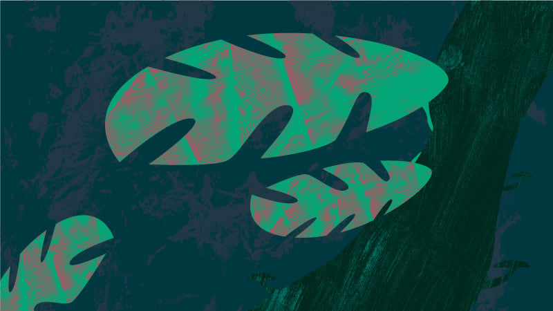 I did it! - image 2 - student project