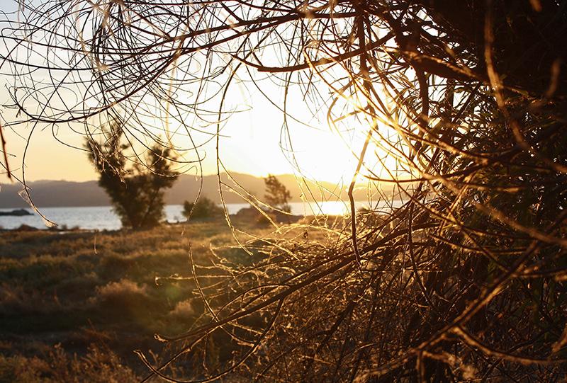 California Sunrise - image 2 - student project
