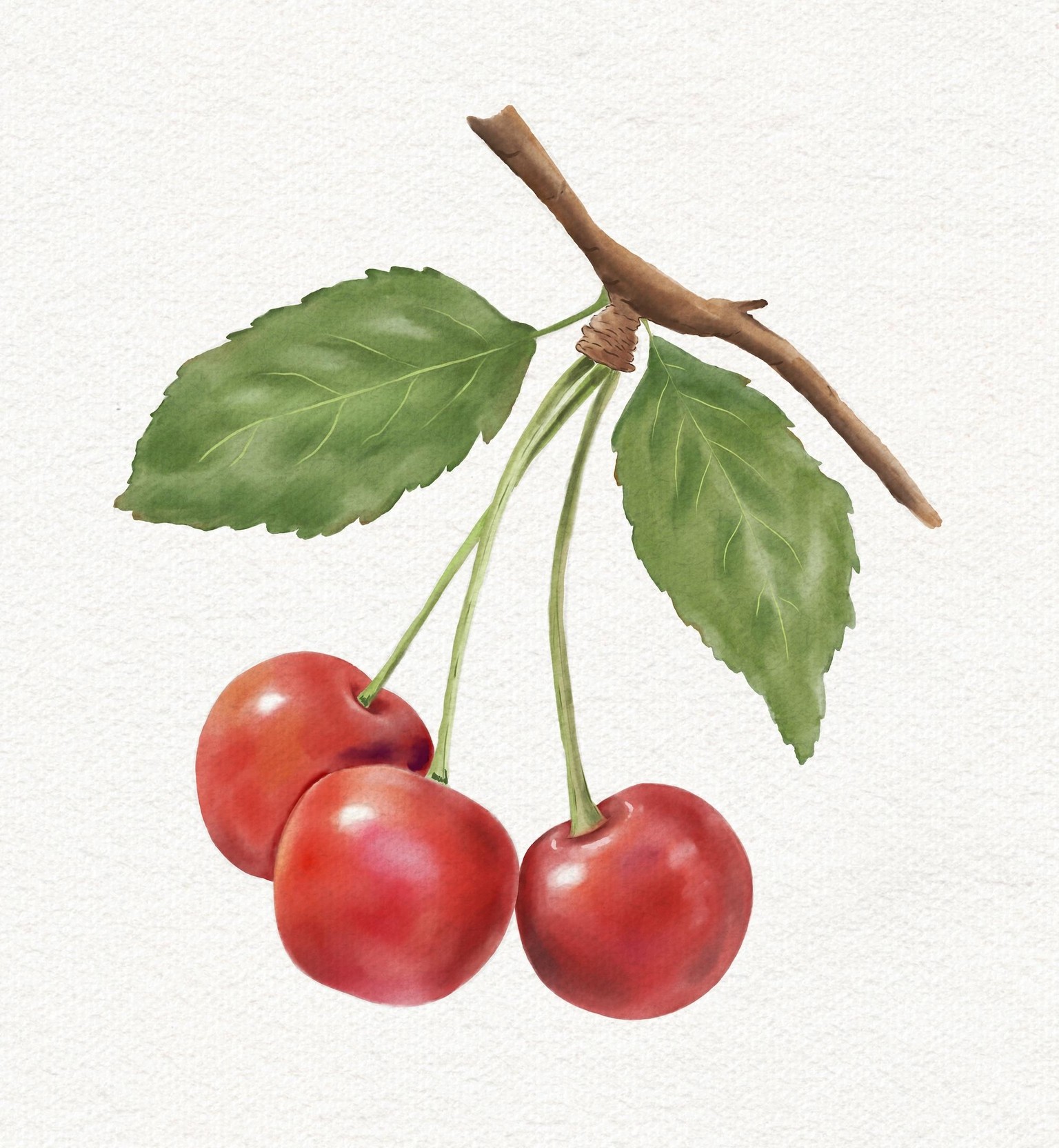 Watercolor Botanicals in Procreate - image 2 - student project