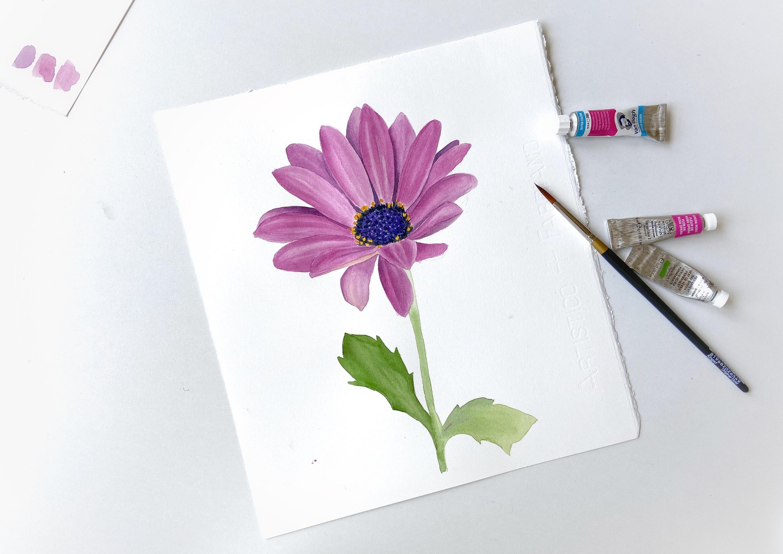 Purple Daisy - image 1 - student project