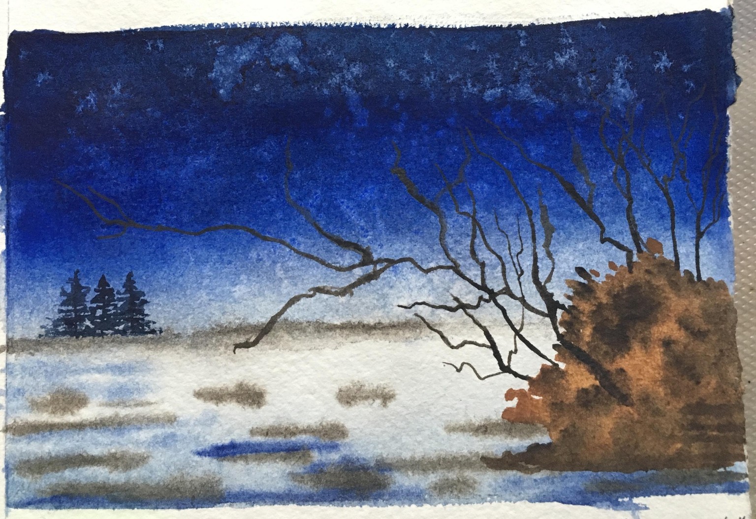 4 landscapes - image 4 - student project