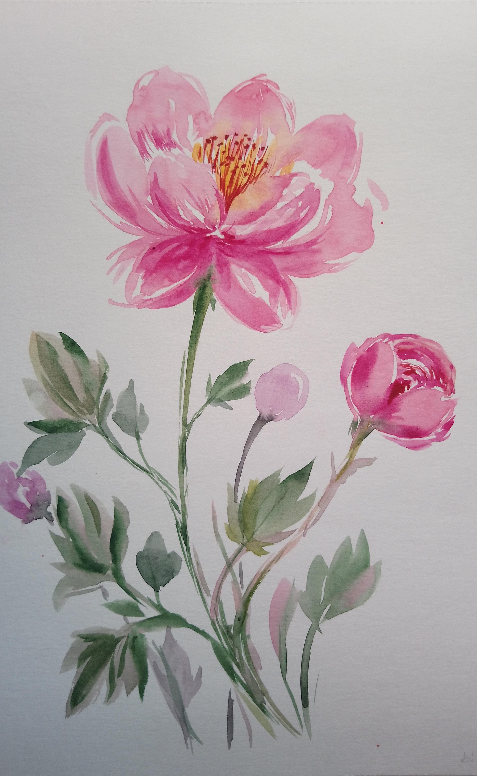 Easy-to-Learn: Loose Watercolor Peonies - image 2 - student project
