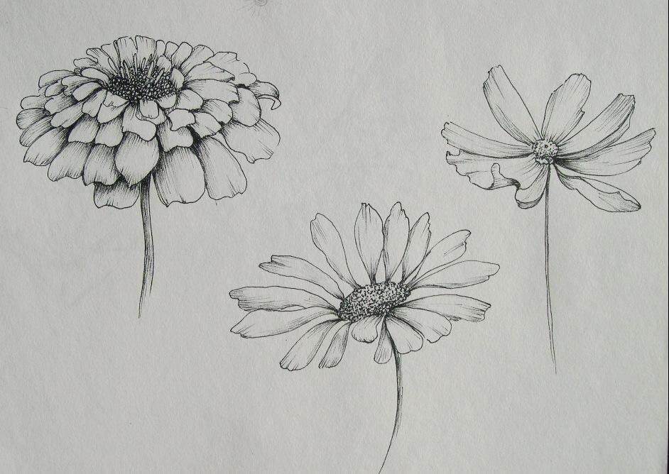 Shading 101 - image 1 - student project