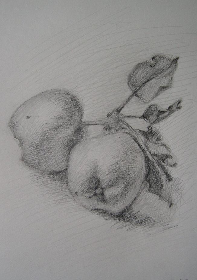 Drawing Masterclass - image 1 - student project