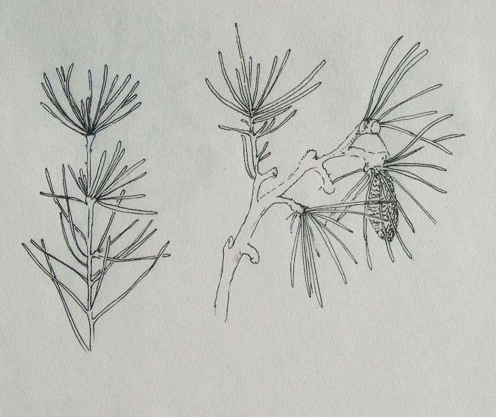 Shading 101 - image 4 - student project