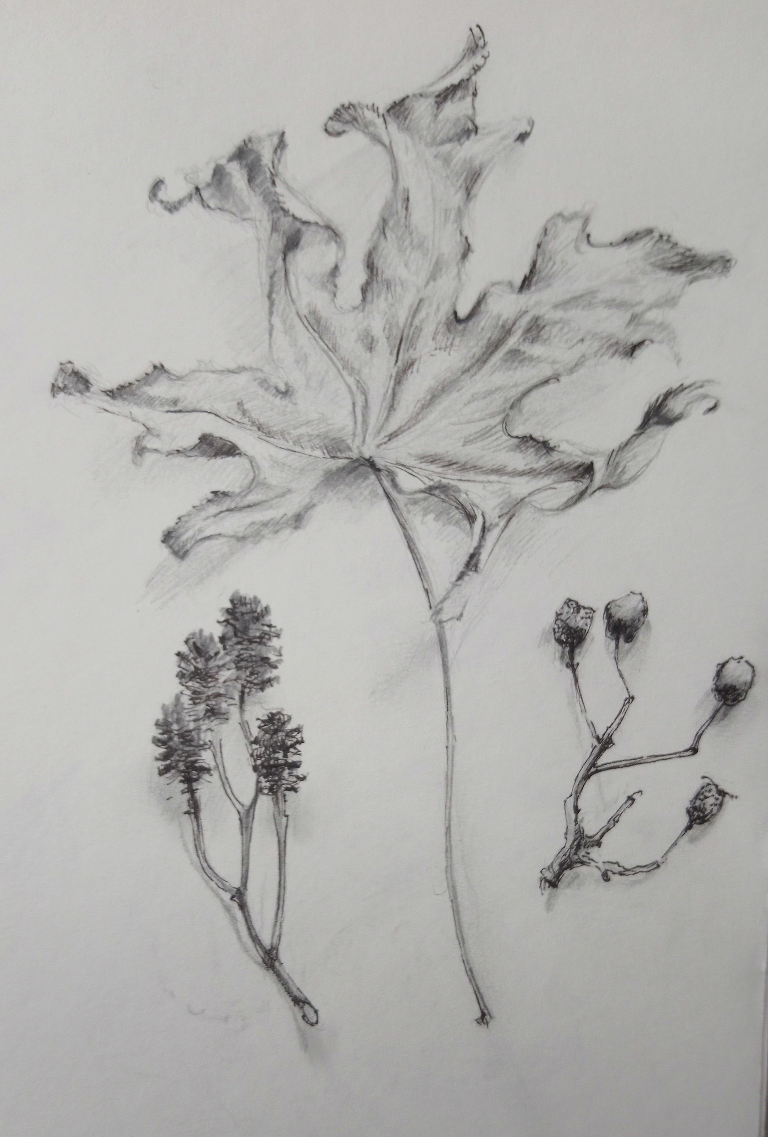 Defeat the Blank Page: Discover Inspiration Inside and Outside Your Sketchbook - image 2 - student project