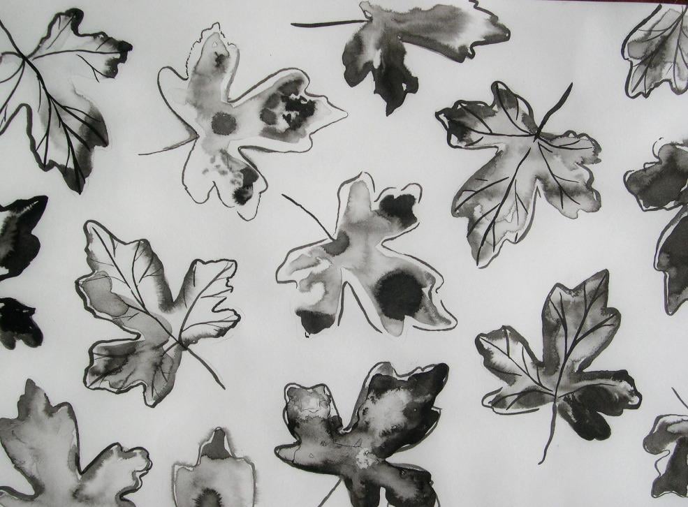 Use Real Leaves to Create an Elegant Pattern with Black Ink or Watercolor - image 6 - student project