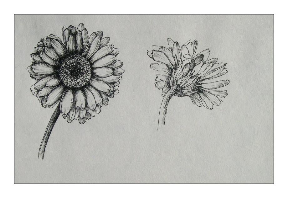 Shading 101 - image 3 - student project