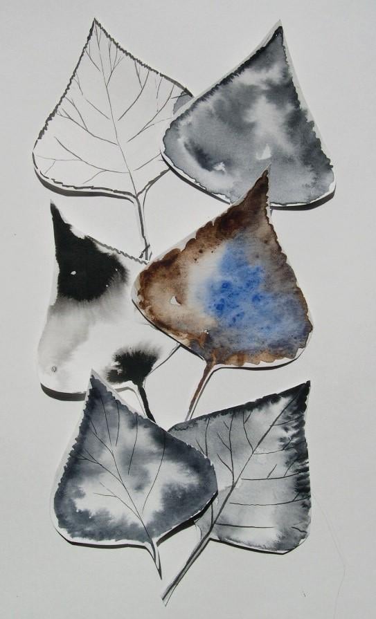 Use Real Leaves to Create an Elegant Pattern with Black Ink or Watercolor - image 2 - student project