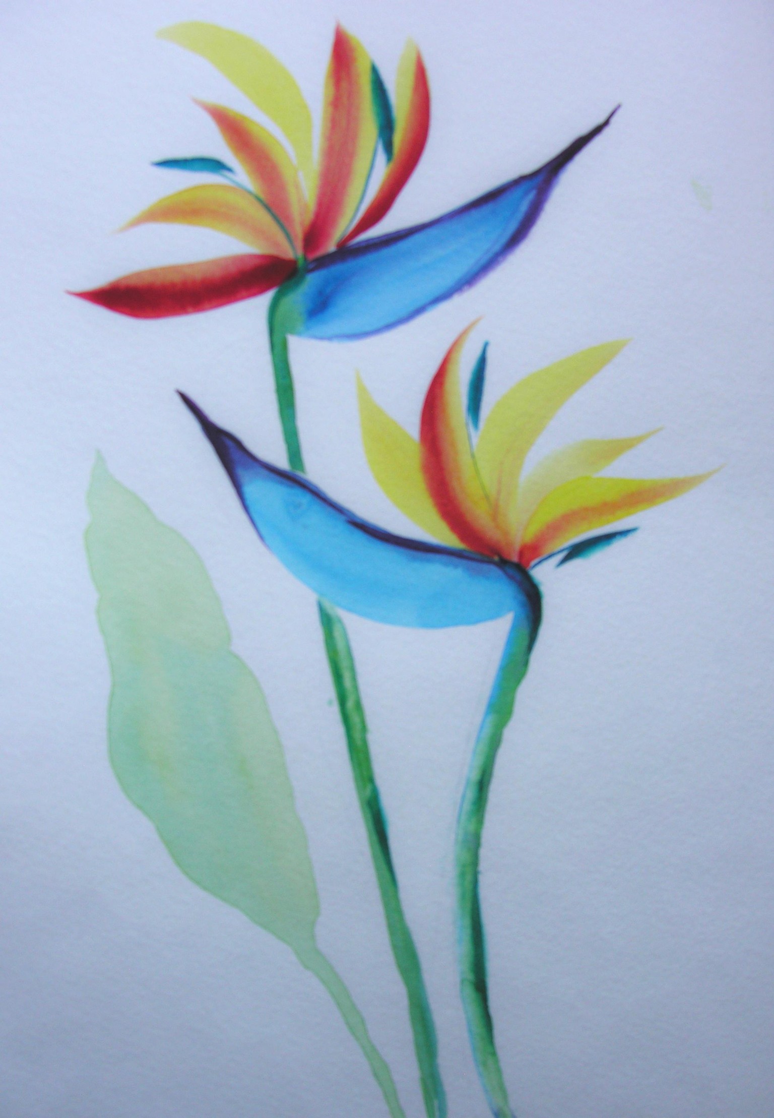 Loose Watercolor Florals Using a Dagger Brush - image 3 - student project
