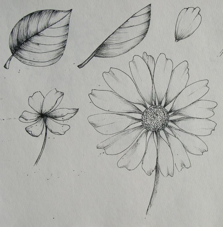 Shading 101 - image 2 - student project
