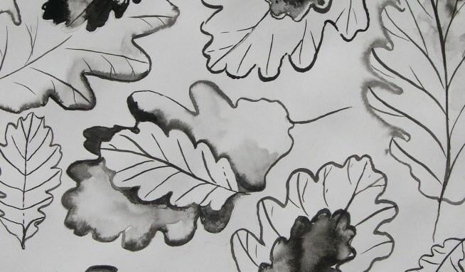 Use Real Leaves to Create an Elegant Pattern with Black Ink or Watercolor - image 4 - student project