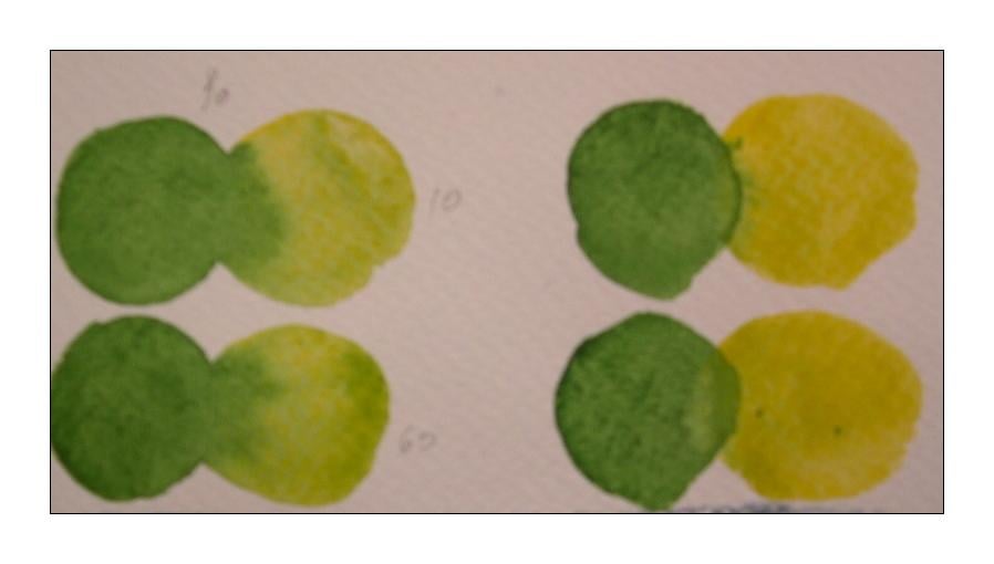I <3 watercolour - image 4 - student project