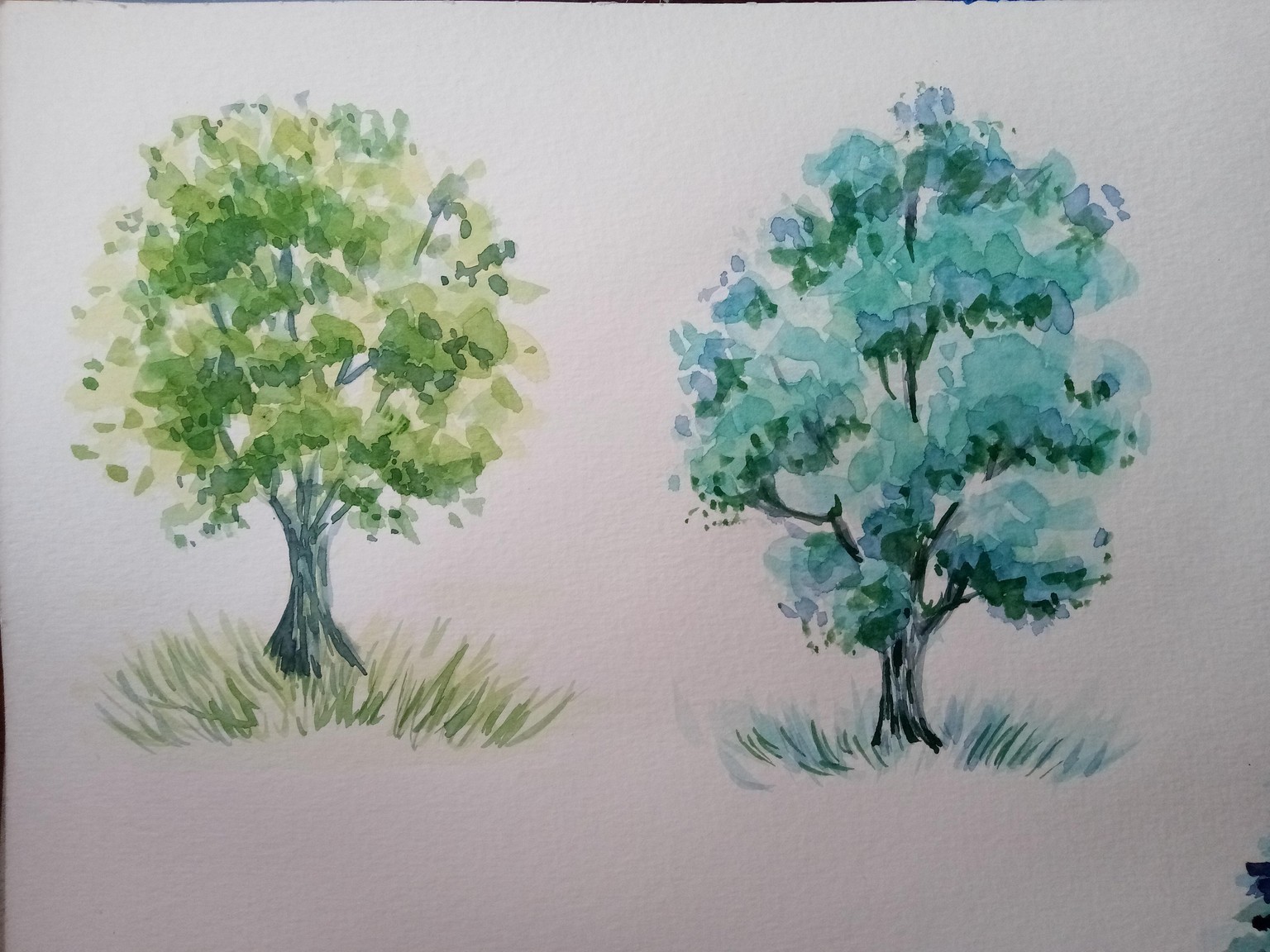 Watercolour Greenery: How to Paint Trees - image 1 - student project