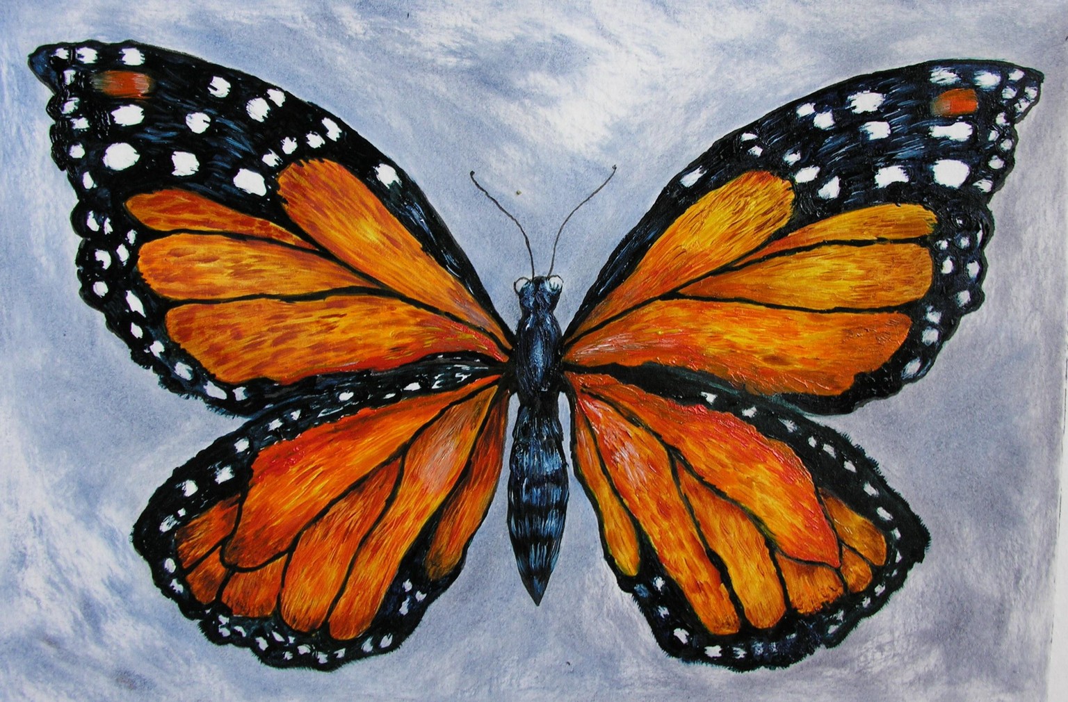 Learn to Draw and Paint a Butterfly - image 1 - student project