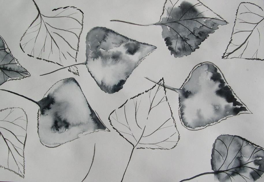 Use Real Leaves to Create an Elegant Pattern with Black Ink or Watercolor - image 5 - student project