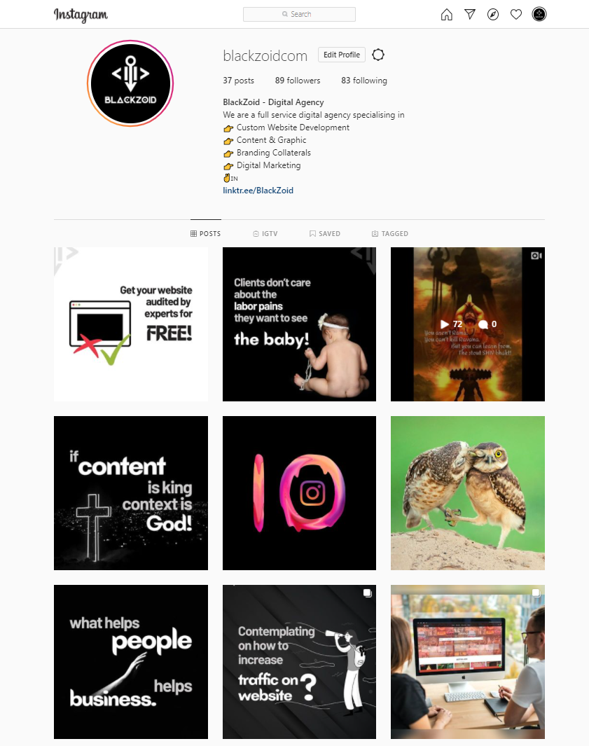 BlackZoid - Digital Agency - image 1 - student project