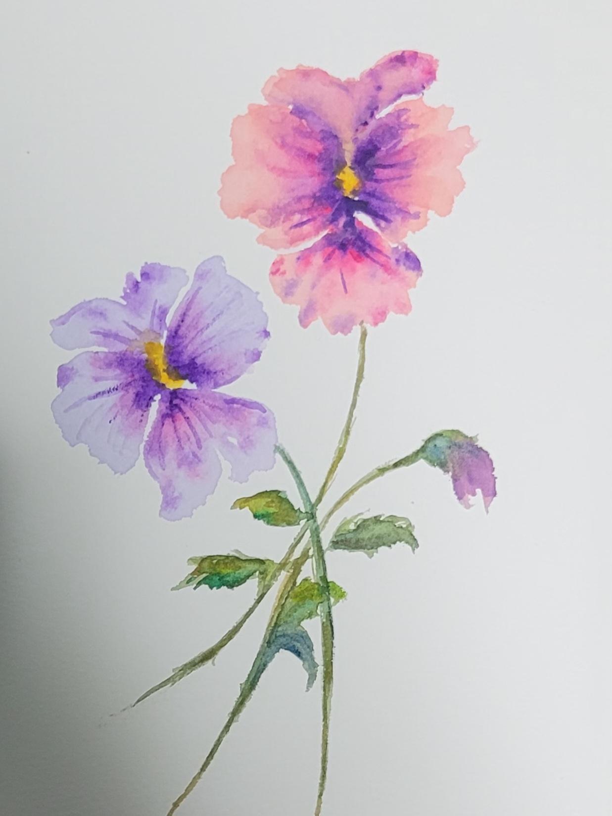 Pansies - image 1 - student project
