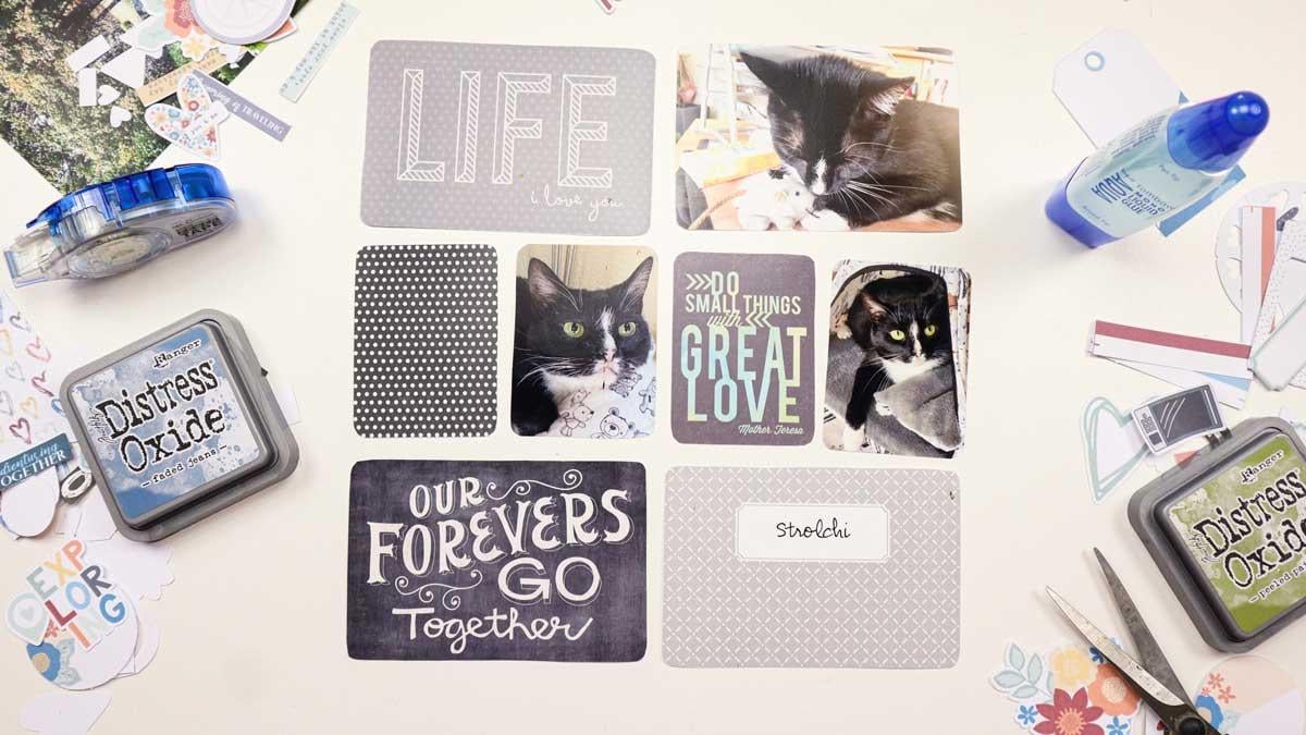 Project Life Cards with a Digital Scrapbooking Kit - image 1 - student project
