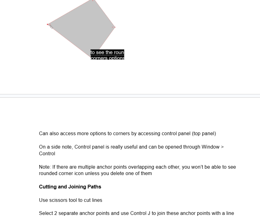 Adobe Illustrator Notes - image 25 - student project