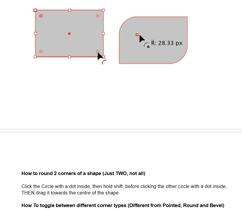 Adobe Illustrator Notes - image 5 - student project