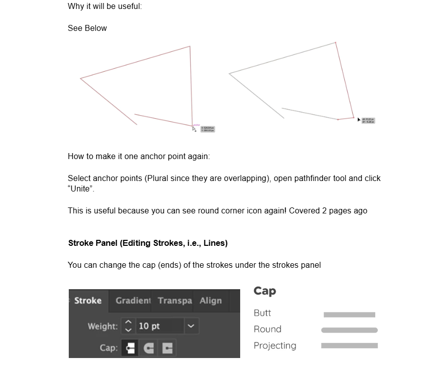 Adobe Illustrator Notes - image 27 - student project