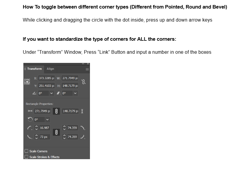 Adobe Illustrator Notes - image 6 - student project