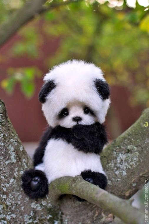 My Baby Panda - image 1 - student project