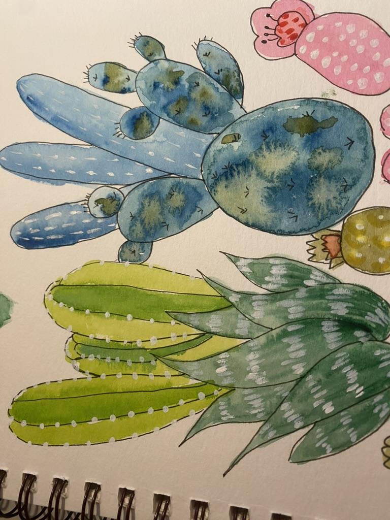 Cacti fun - image 1 - student project